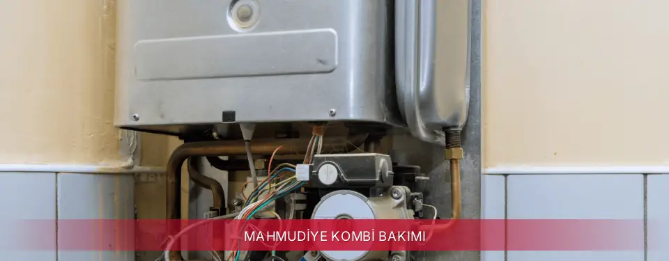Mahmudiye İlçemi ECA Kombi Bakımı