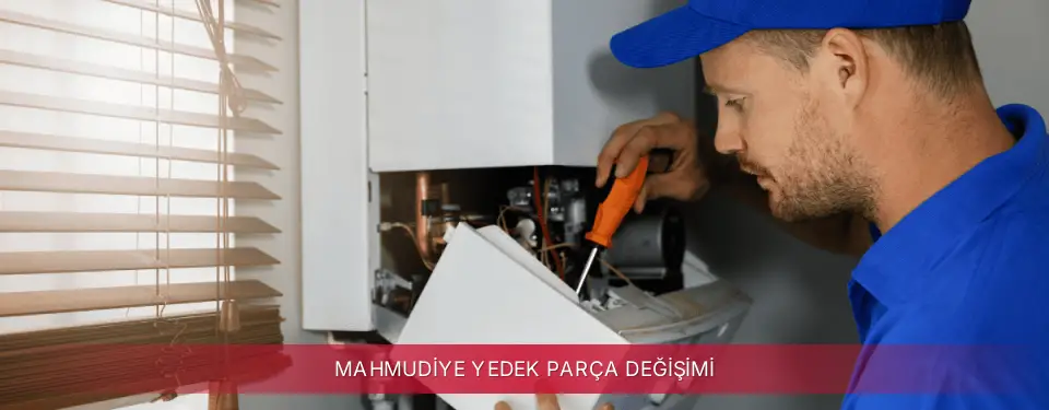 Mahmudiye İlçemi ECA Yedek Parça Değişimi